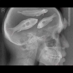 Meet your Posher, William